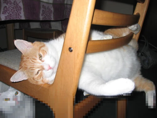 五大联赛是否通过压迫位置错位制造反击漏洞，五大联赛打法