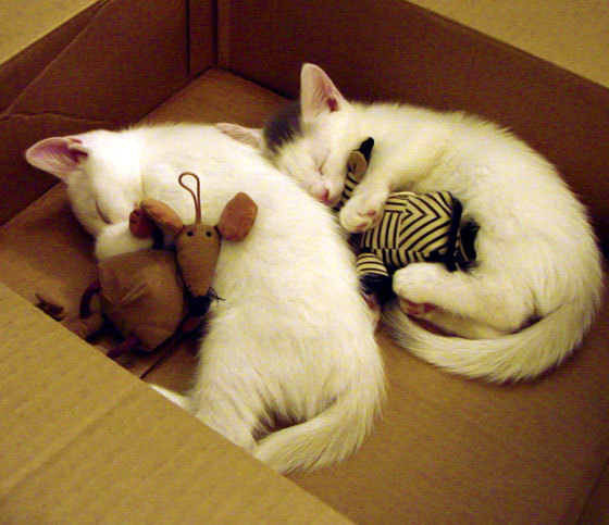 划频波动对成绩影响评估